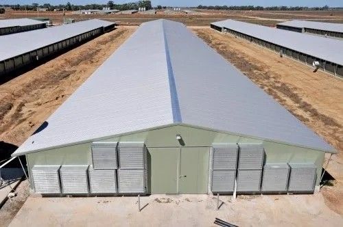 Prefabrykowane metalowe stalowe domy dla drobiu Przemysł Struktury stalowe