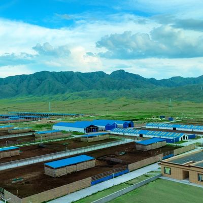 Prefabrykowana konstrukcja stalowa Modularna stacja bydła stacja stalowa z trwałym wykończeniem powierzchni i długą żywotnością