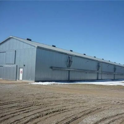 Prefabrykowana stalowa hala dla drobiu, lekka konstrukcja, Q235B Q355B