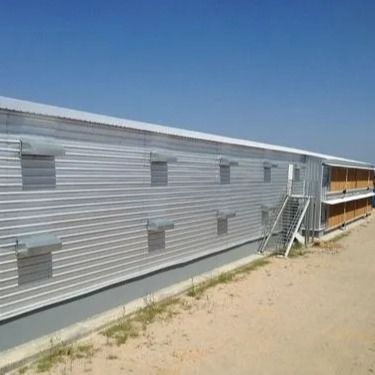 Prefabrykowana stalowa hala dla drobiu, lekka konstrukcja, Q235B Q355B