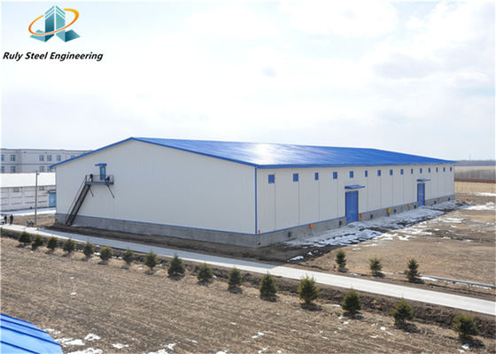 Qingdao Manufacture Profesjonalne projektowanie Zindywidualizowana konstrukcja stalowa Pre-Made Factory Workshop