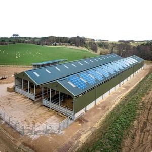 Prefabrykowane metalowe stalowe domy dla drobiu Przemysł Struktury stalowe