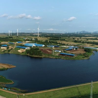 Niestandardowa ocynkowana stalowa obora dla bydła do hodowli zwierząt gospodarskich
