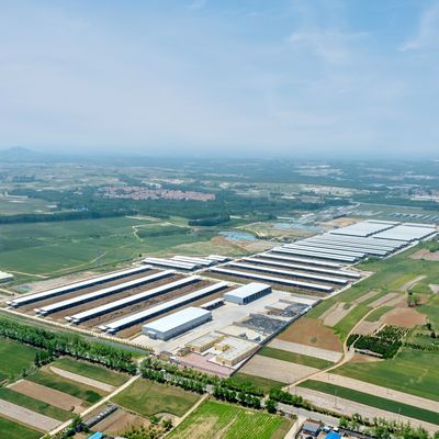 Projekt Dostawa Nowoczesna Stalowa Konstrukcja Obory Metalowa Wiata dla Bydła z Systemem Wentylacji