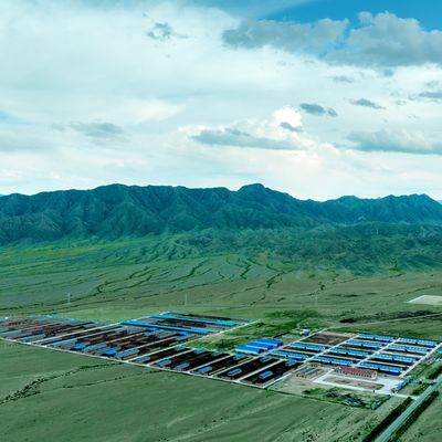 Ocynkowana stalowa obora dla bydła mlecznego i mięsnego, żywotność 20+ lat