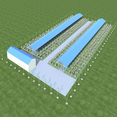 Projekt Dostawa Nowoczesna Stalowa Konstrukcja Obory Metalowa Wiata dla Bydła z Systemem Wentylacji