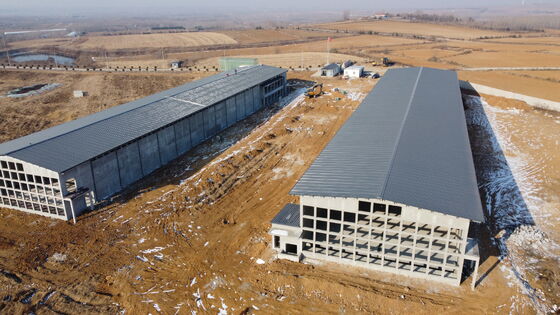 Prefabrykowane stalowo izolowane komercyjne brojlery/warstwowe domki drobiowe