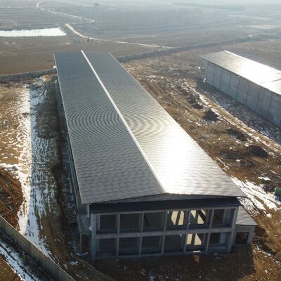 Prefabrykowane stalowe stodoły dla drobiu